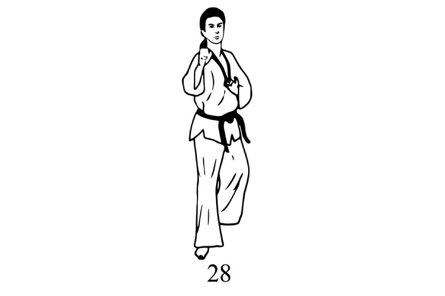 حرکات فرم 6 تکواندو